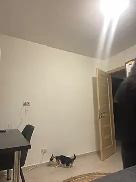 Snapshot of NNNoire chatting on September 26, 2025, 10:41 am NNNoire online show from September 26, 2025, 10:41 am