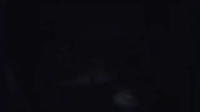 Snapshot of ParaFox chatting on September 14, 2025, 8:30 pm ParaFox online show from September 14, 2025, 8:30 pm