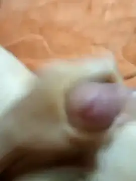 mmarvis za78 93 21cm online show from January 25, 2025, 8:21 pm