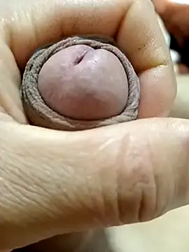 mmarvis za78 93 21cm online show from February 23, 2025, 3:24 am