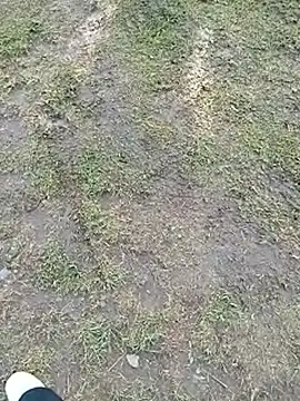 Snapshot of mmarvis_za78_93_21cm chatting on June 10, 2026, 1:10 pm mmarvis za78 93 21cm online show from June 10, 2026, 1:10 pm