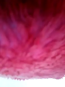 Samara-Bella online show from January 6, 2026, 5:22 am