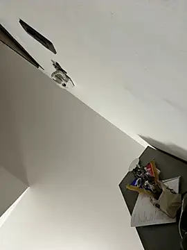 ilmaestoso online show from February 21, 2025, 7:23 am