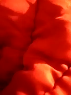 Snapshot of aiandru chatting on March 13, 2025, 7:39 pm aiandru online show from March 13, 2025, 7:39 pm