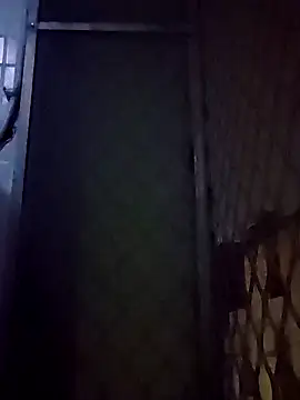 Snapshot of chenxishi988 chatting on November 27, 2025, 3:47 pm chenxishi988 online show from November 27, 2025, 3:47 pm