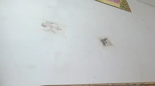 boysLittle online show from February 14, 2025, 10:04 pm