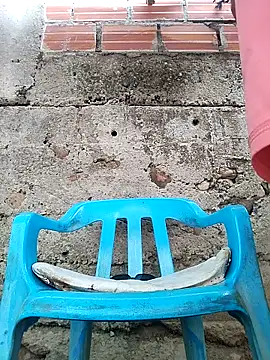 Black Manba online show from September 18, 2025, 11:45 am