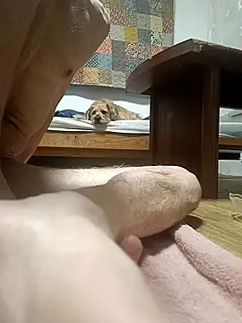 Bisexualhard23 online show from January 18, 2026, 12:58 am