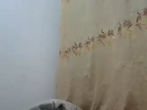 Sr JakoXXXX online show from February 20, 2025, 7:55 am