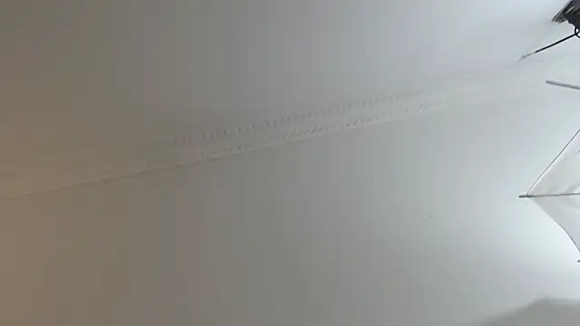 BrandonColee online show from February 10, 2025, 12:29 pm