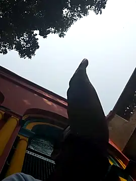 xx54362 online show from March 1, 2025, 7:19 am