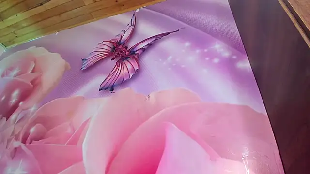 emili clark online show from March 21, 2025, 10:39 am