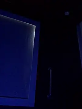 Snapshot of Ulises99 chatting on March 2, 2025, 5:04 pm Ulises99 online show from March 2, 2025, 5:04 pm