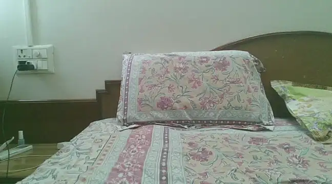 Snapshot of great_nam_par chatting on January 25, 2025, 5:29 am great nam par online show from January 25, 2025, 5:29 am