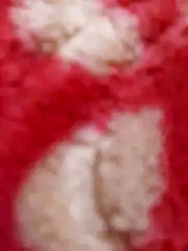 mhmia online show from February 8, 2025, 5:29 pm