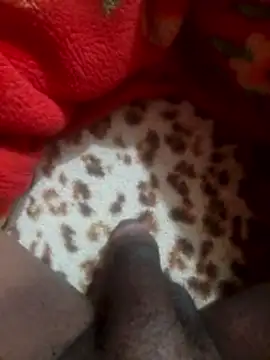 mhmia online show from January 12, 2026, 1:11 am