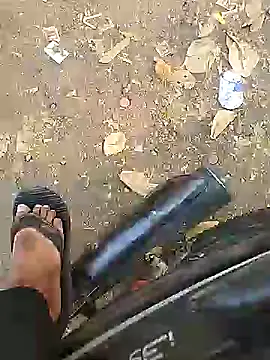 Playboy bhabhi 00 online show from February 10, 2025, 11:04 am