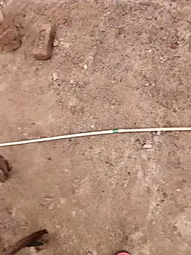 xmanrawan2 online show from October 9, 2025, 7:50 am