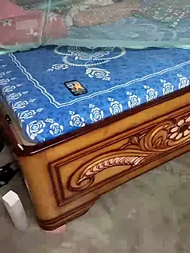 birds0641 online show from October 8, 2025, 8:06 pm