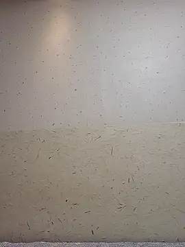 Tyyyggjju online show from October 20, 2025, 7:03 pm