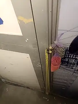 wadmma online show from February 5, 2025, 7:10 pm