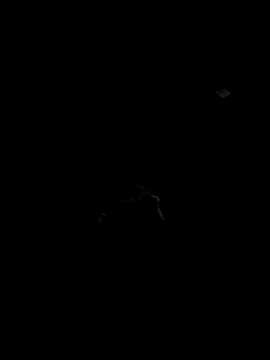 Codybugs0206 online show from November 22, 2025, 11:59 pm