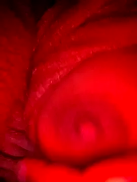 bestfriend-shikha online show from February 5, 2025, 9:18 pm