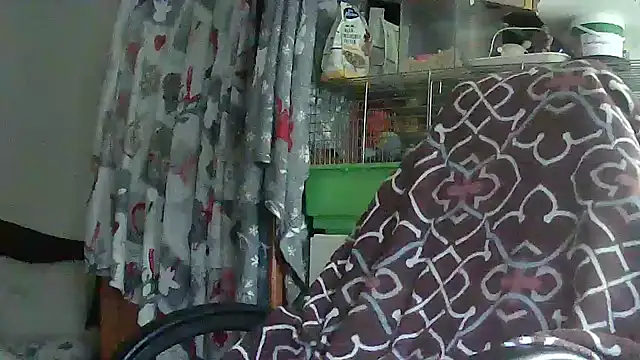 Snapshot of Cicamica12 chatting on May 15, 2026, 4:25 pm Cicamica12 online show from May 15, 2026, 4:25 pm