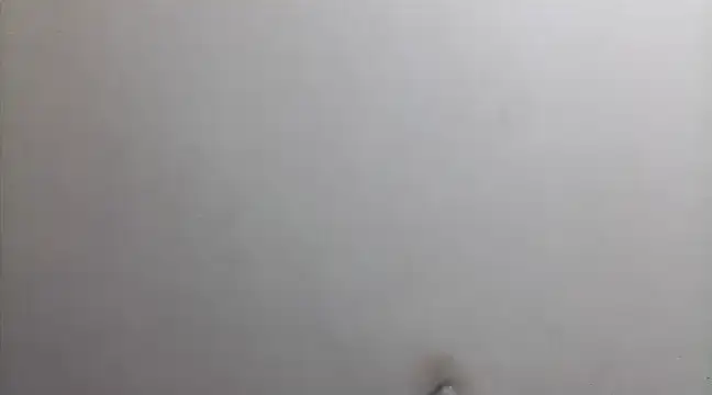 beatle666 online show from February 26, 2025, 2:15 am