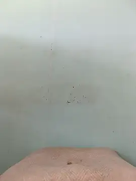 Dracoandr online show from October 11, 2025, 4:05 pm