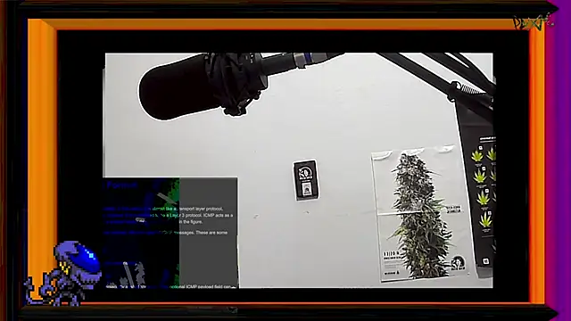 Snapshot of ReyDeBotones chatting on March 13, 2025, 11:38 pm ReyDeBotones online show from March 13, 2025, 11:38 pm