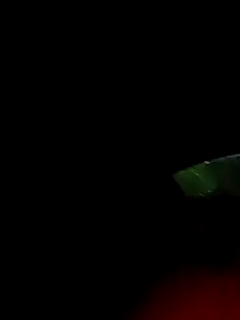 ginger 1 1 online show from March 18, 2025, 12:38 am