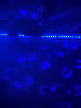 BBSTRING online show from November 15, 2025, 6:59 pm