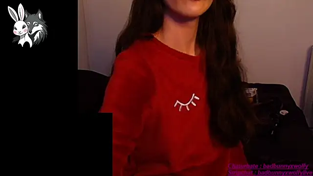 BadBunnyXWolfyLive online show from October 4, 2025, 3:43 pm