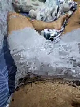 Sexhamza32 online show from June 29, 2026, 8:31 pm