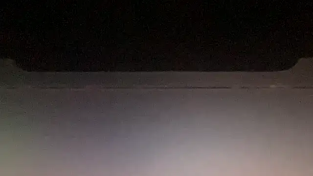 LeoLovelyDick online show from January 13, 2026, 8:36 pm