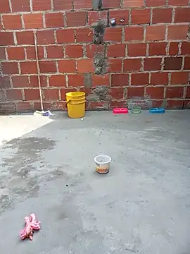 Snapshot of PECHO100 chatting on March 6, 2025, 7:32 pm PECHO100 online show from March 6, 2025, 7:32 pm