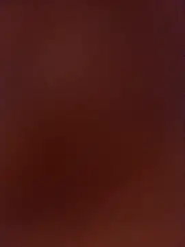 elnotella online show from November 8, 2025, 8:14 am