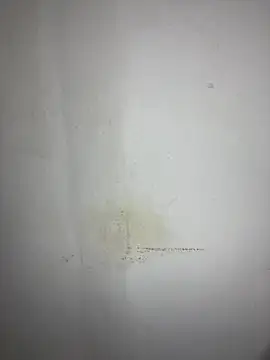 Snapshot of Hamza-Maroki chatting on October 3, 2025, 8:28 pm Hamza-Maroki online show from October 3, 2025, 8:28 pm