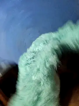 Snapshot of Caing23 chatting on February 27, 2026, 3:17 am Caing23 online show from February 27, 2026, 3:17 am