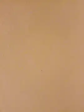 Bigdicklove42x online show from January 15, 2026, 4:50 am