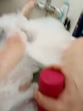 flo000031 online show from February 16, 2026, 2:57 pm