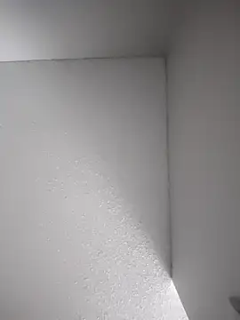 Vergadura590 online show from November 3, 2025, 6:58 am