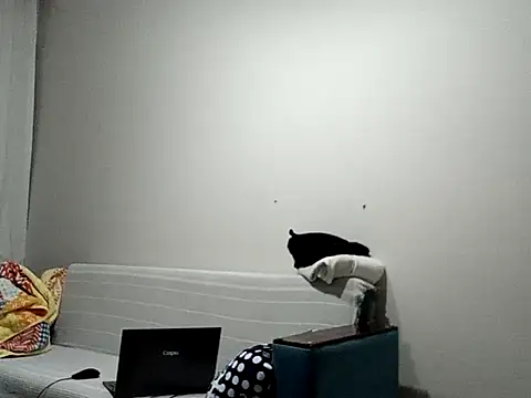 BellBort online show from March 3, 2026, 7:42 pm