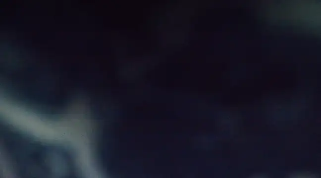 goldiwets online show from March 12, 2025, 6:18 am