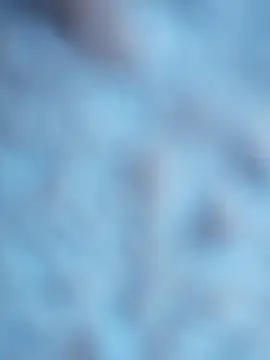 maialani online show from October 6, 2025, 9:07 am