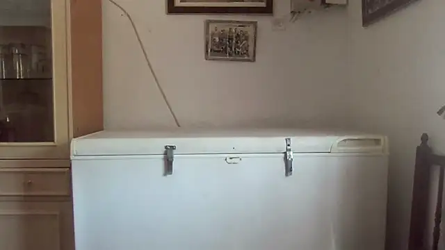 llopaco online show from September 12, 2025, 10:37 am