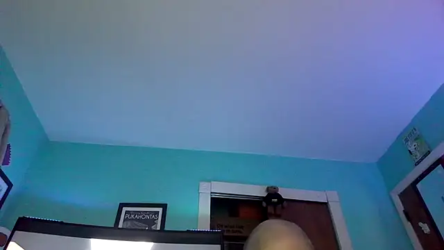 Novabear6996 online show from June 13, 2026, 1:14 am