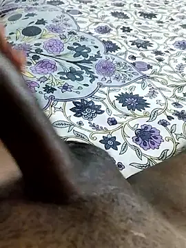 desi pb02 online show from February 21, 2026, 1:45 pm