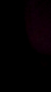 Snapshot of salchichon_69 chatting on March 11, 2026, 8:31 am salchichon 69 online show from March 11, 2026, 8:31 am